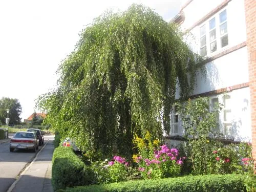 Ferienwohnungen Hebbel in Husum, Deutschland