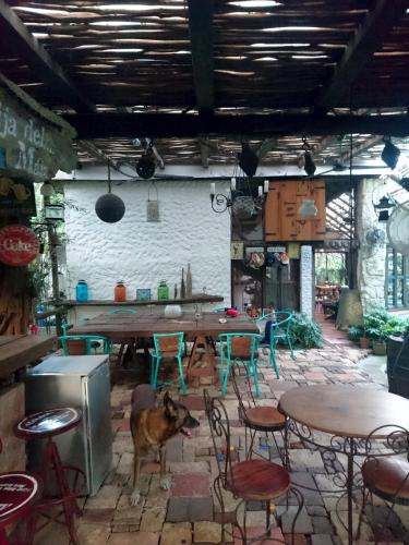 Jungle Lodge CANCUN AEROPUERTO, Cancún