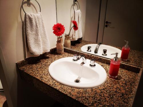 Modern Apartment Rivas - Swimming Pool, Buenos Aires (fotografie 8)