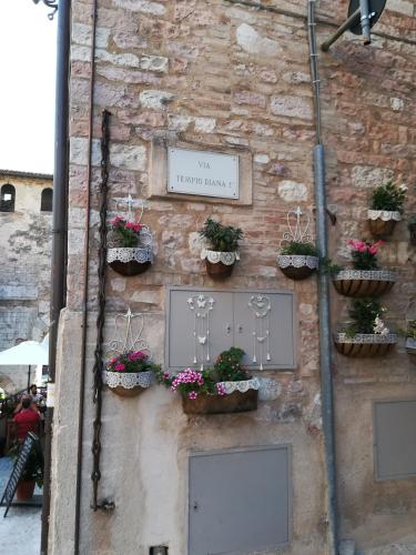 Residenza Frenguelli - Tap to explore photos