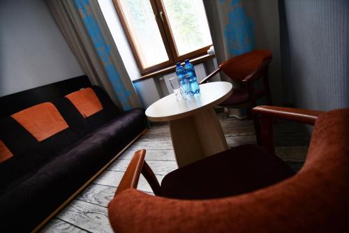 Hotel EUROPA - Górnicza Strzecha - image 8