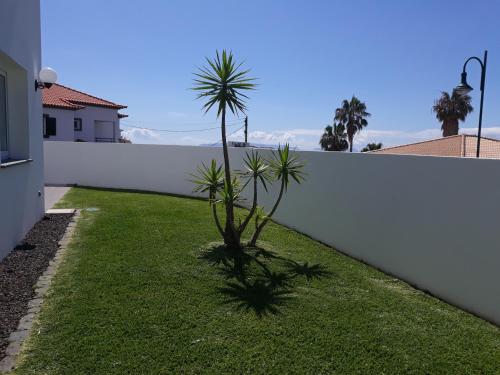 Vila Faia 3