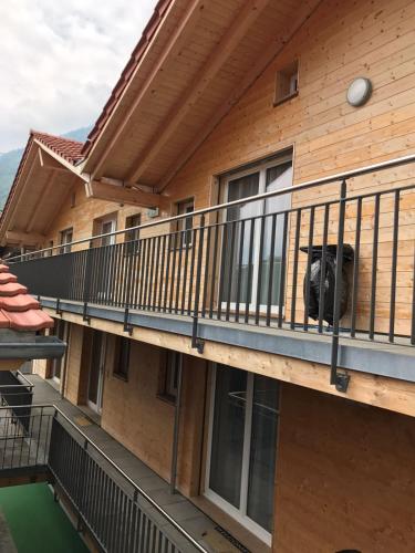 Swiss Chalet Holidays Ringgenberg - image 2