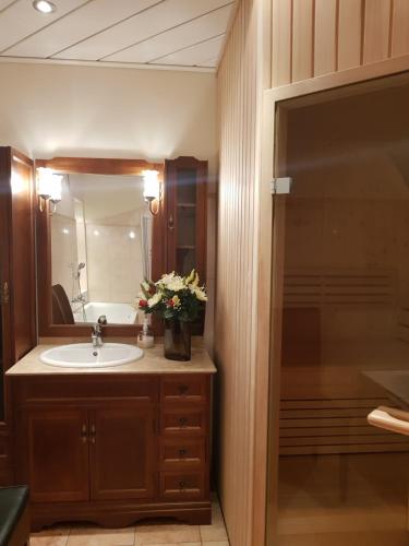 Exclusive Apartment Sylvie - image 13