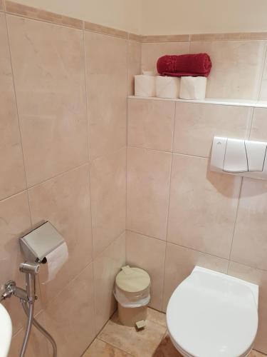 Exclusive Apartment Sylvie - image 12
