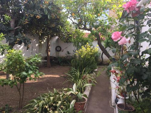 Casa Dª Ana
