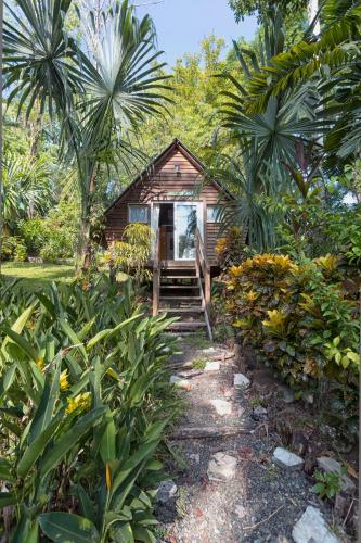 Jardin, Hotel Hacienda Tijax Jungle Logde in Rio Dulce