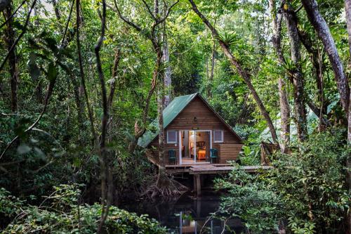 Jardin, Hotel Hacienda Tijax Jungle Logde in Rio Dulce