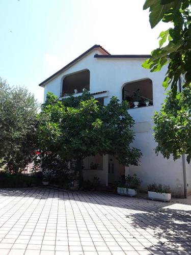 Apartments with a parking space Sosi Umag - 15967 - image 4