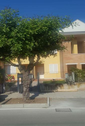 Appartamento Emilia