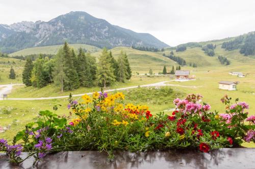 Almhaus Alpenrose