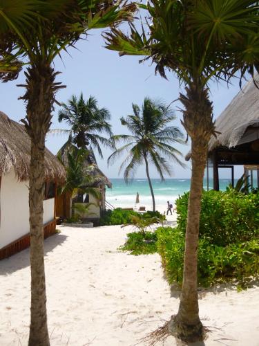 Casa Violeta, Tulum (foto 9)