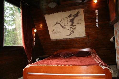 Durmitor Chalet - image 5