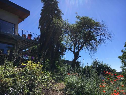 Haagalm Terrasse, Garten