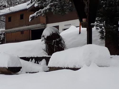 Vue extérieure, Appartement Wildkogelblick in Autre