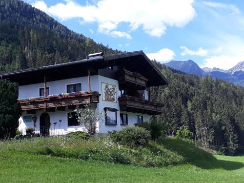 Vue extérieure, Appartement Wildkogelblick in Autre