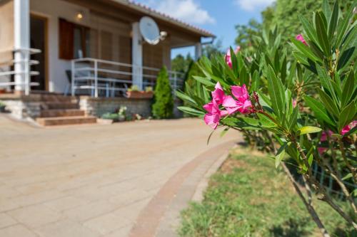  Apartment Ana in Labin