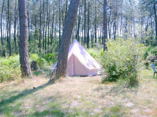 Cuckoo Lake Forest Cabin