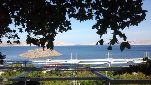  Rooms Marica in Sveti Juraj