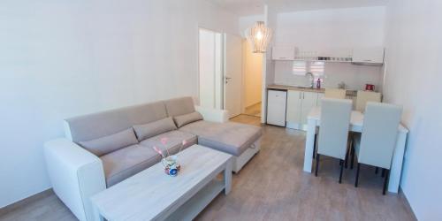 Apartment Cactus - image 7