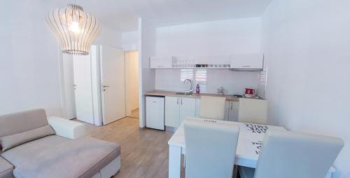 Apartment Cactus - image 6