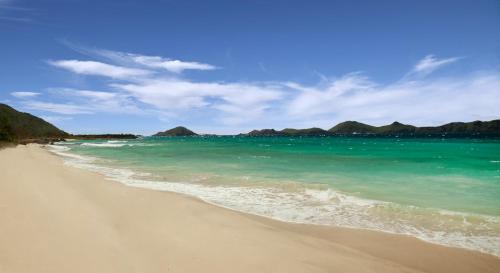 153449190 The Liming Bequia