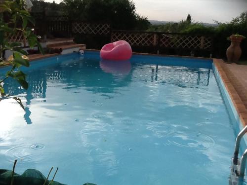Swimming pool, Rifugio di campagna in Vitorchiano