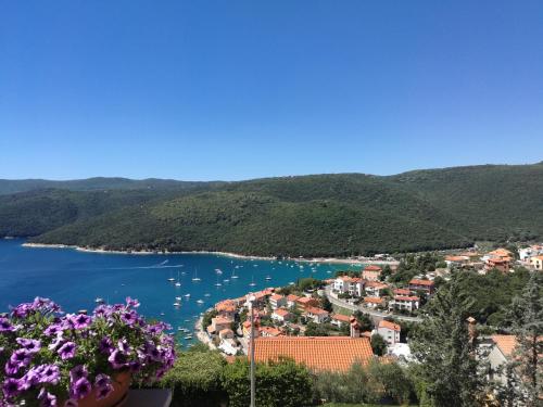 Apartments Alma - Rabac