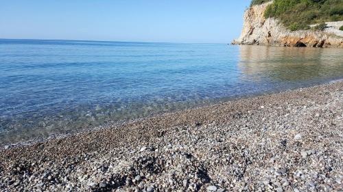 Apartment Dasic - image 3