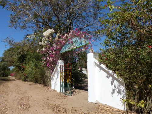 入口, Campement & Centre artistique Tilyboo in 卡豐廷