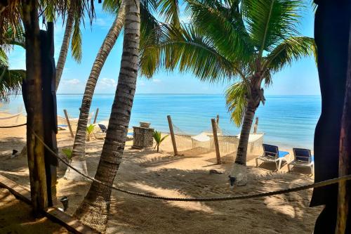 153478171 Parrot Cove Lodge
