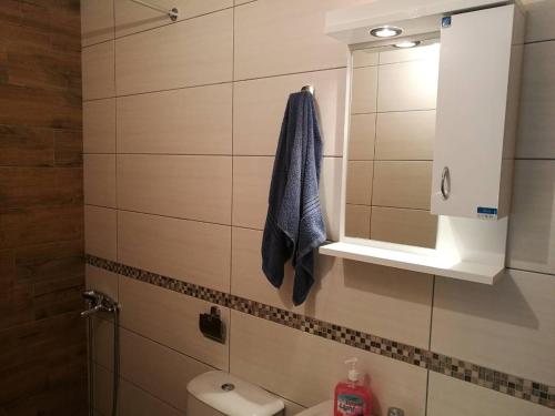 Vannas istaba, Apartmani Gmitrovic in Rtanj