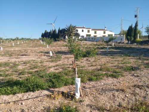 Alojamiento Rural El Orégano