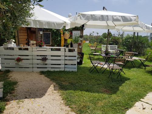 Agriturismo Torre Flavia - image 8