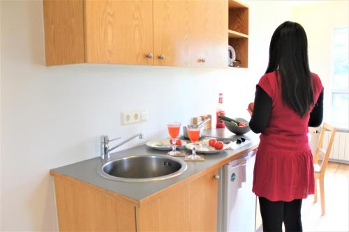 Kitchen, Veghus Guesthouse in Hveragerdi