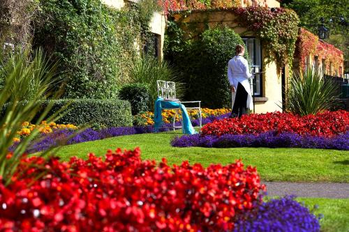 The Dunraven, Adare