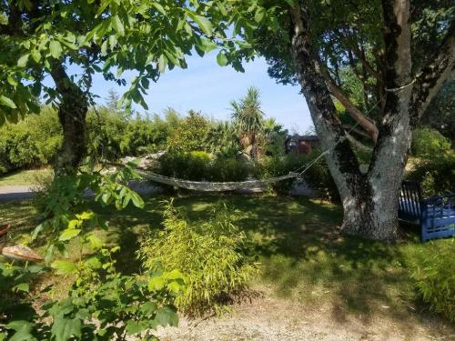 Le Domaine de Saint-Thomin photo 16
