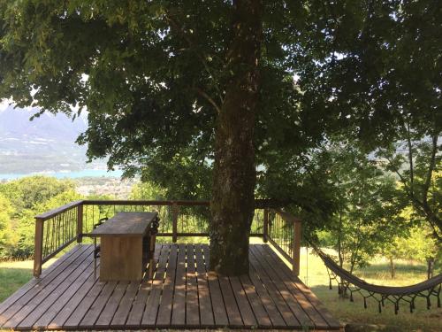 Aux prés du lac photo 22
