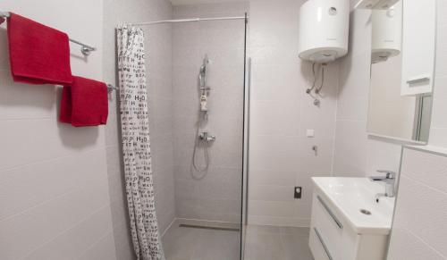 Apartment Cactus - image 11