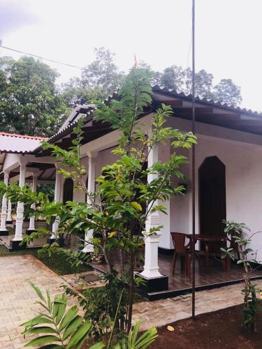 Pidurangala Villas