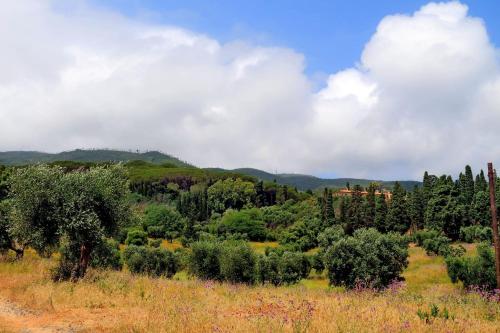 Agriturismo Pimpinnacolo