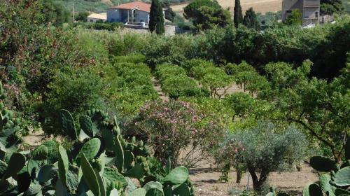 Appartamento La Pinetina