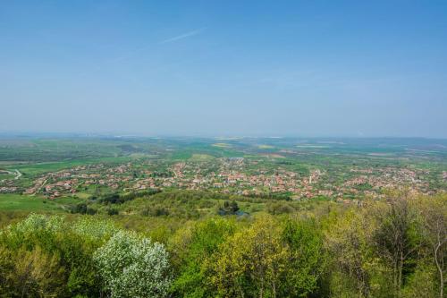 Book the One-Bedroom Apartment One-Bedroom Apartment