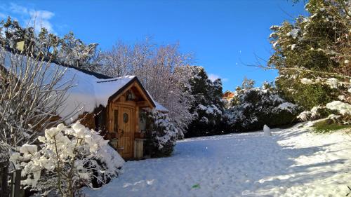 Blue Bird House