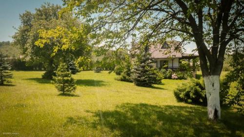 Green Forest Visoko