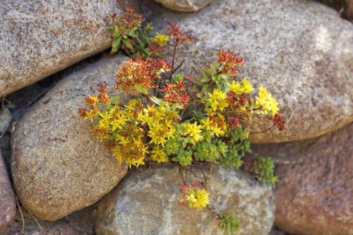 Kapitaensweg 24 - image 10