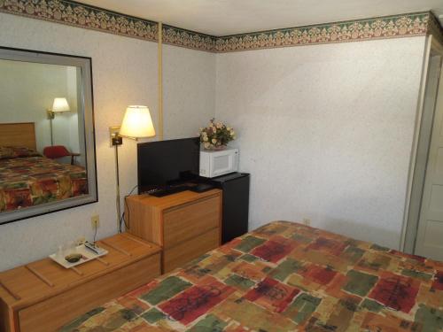 Red Lion Motel Southampton - image 9