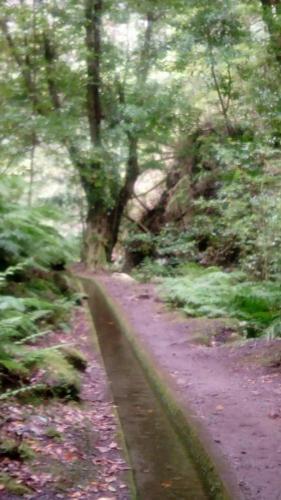  Sea View House in Ribeira Brava