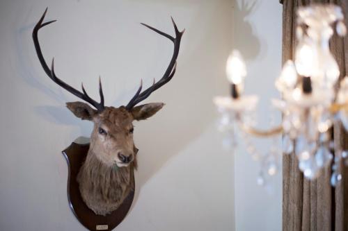 Nethybridge Hotel - image 8