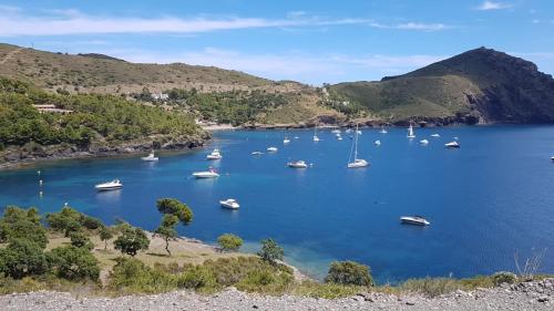 Bahía 66 - main image